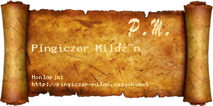 Pingiczer Milán névjegykártya